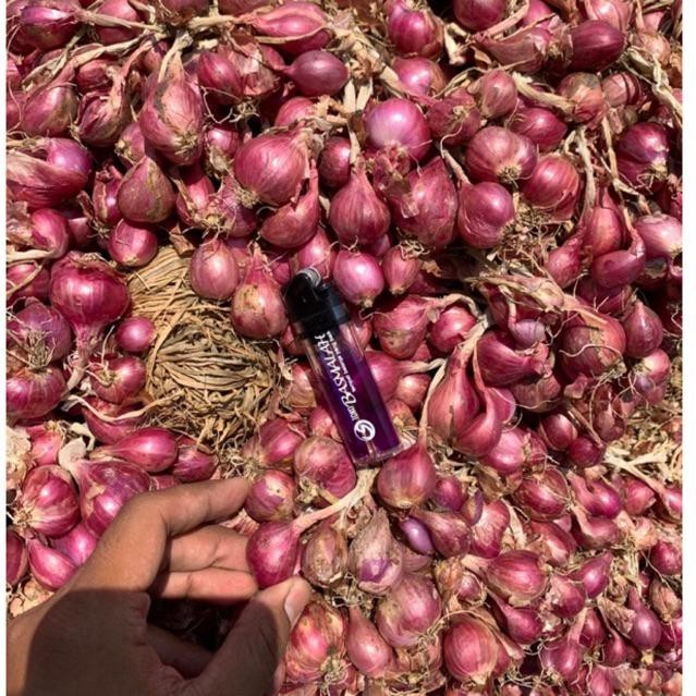 

BAWANG MERAH PROBOLINGGO 1 KG Super Besar Berkualitas