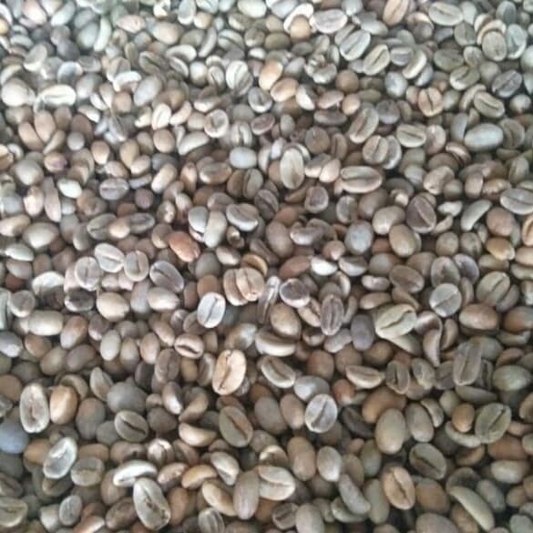 

Ready Greenbean arabika gunung halu natural