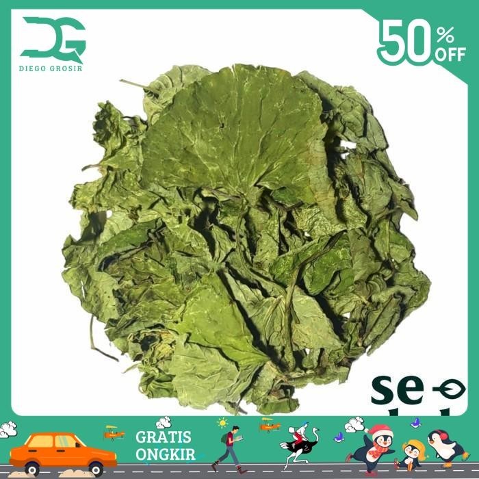 

DAUN PEGAGAN KERING / DRIED GOTU KOLA / CENTELLA ASIATICA 60 GRAM BEST PRODUK