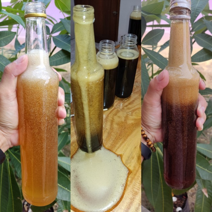 

Madu Premium Asli Hutan Liar Bangka Bunga Pelawan Pahit Original 1KG