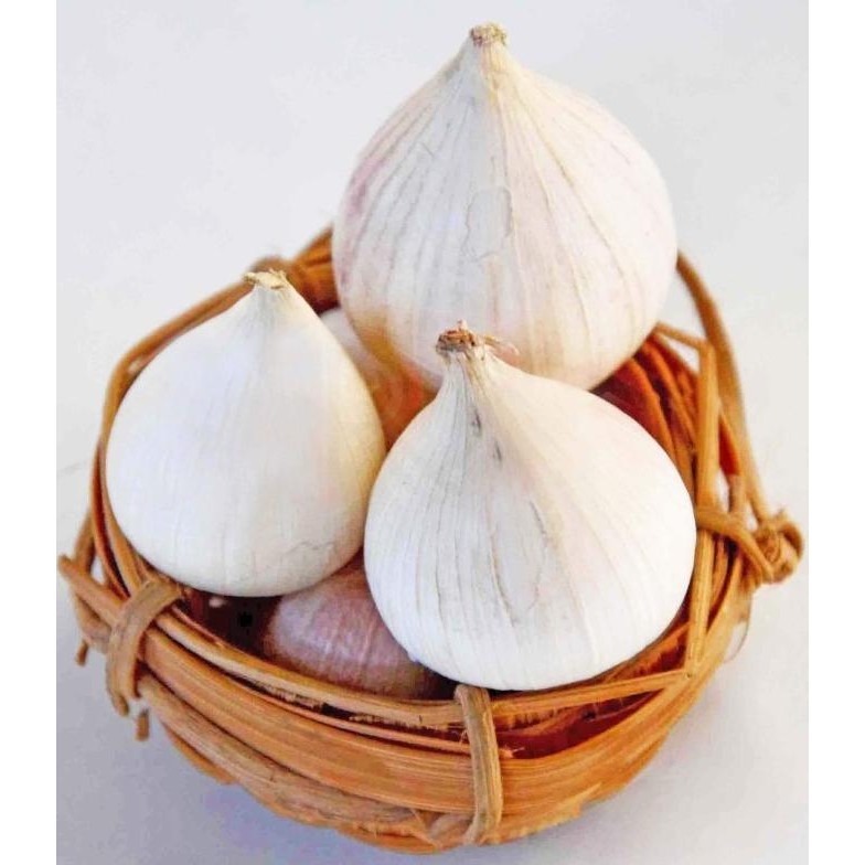 

READY STOCK BAWANG PUTIH TUNGGAL BESAR 2 - 2.5 CM 1 KG HSD !!!!!