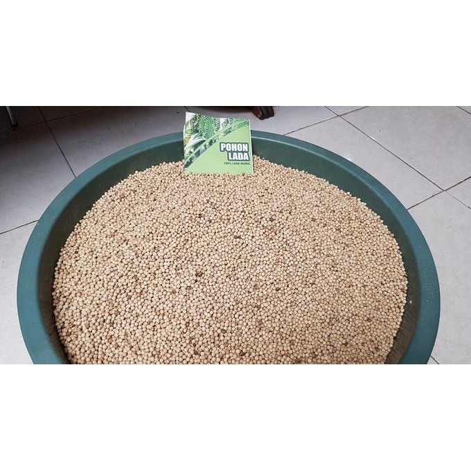 

Lada Putih Bangka Premium 1Kg sudah digiling BS81