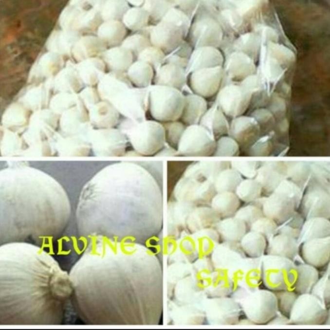 

BIG SALE BAWANG PUTIH TUNGGAL/BAWANG LANANG !!!!!