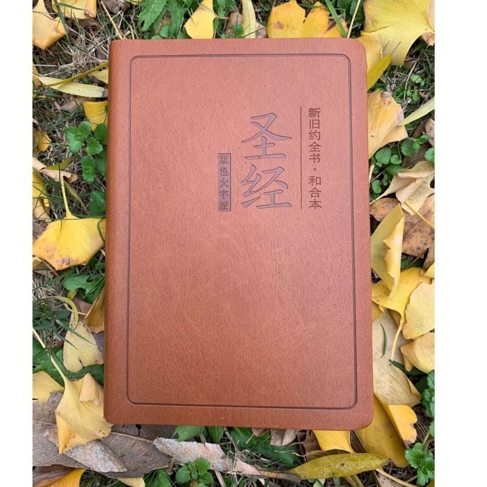 

Alkitab Mandarin Tulisan besar/Chinese Bible / Brown Cover