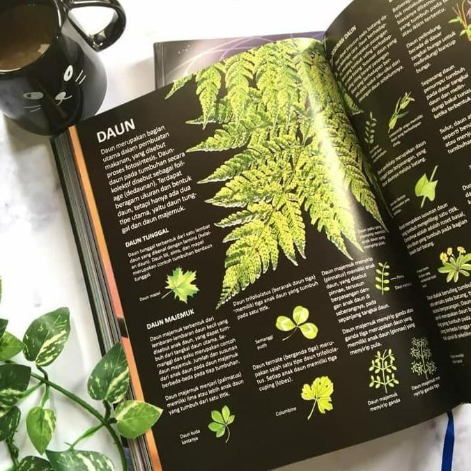 [Promo] Ensiklopedia Sains