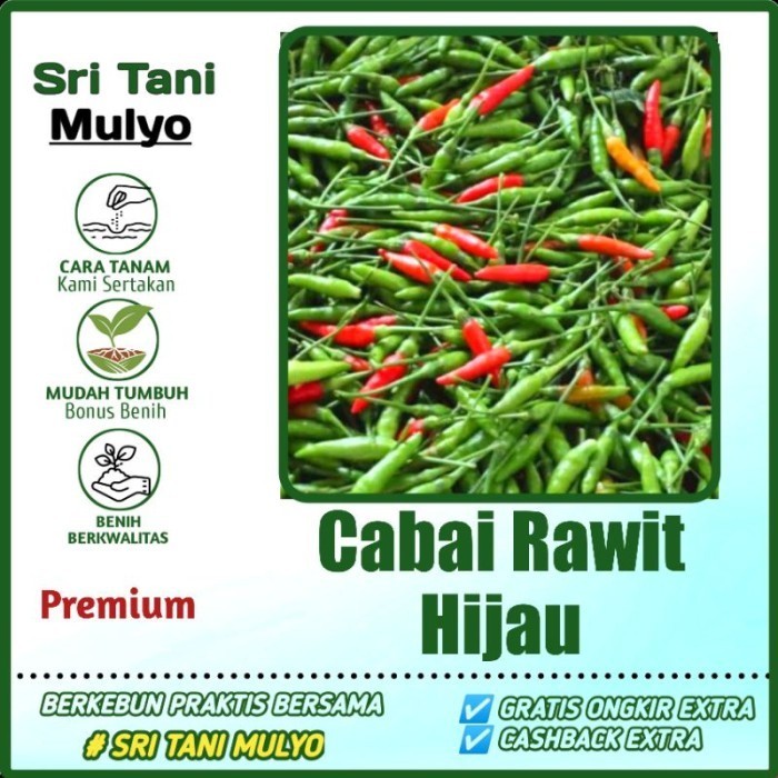 50 Biji - Benih Cabai Rawit Robin F1 Cabai Rawit Merah / Cabai Merah