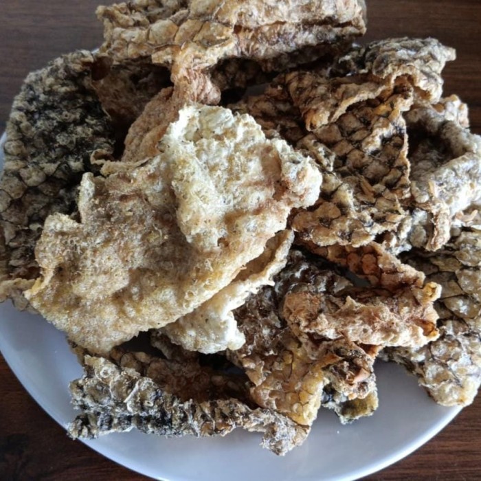 

Kerupuk Kulit Ikan Nila Keto Friendly Free Sugar