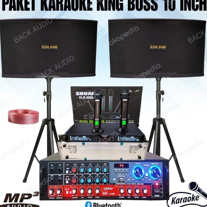 Jual Paket Karaoke Rumahan 10 Inch + Mic Shure Paket Komplit Karaoke Top
