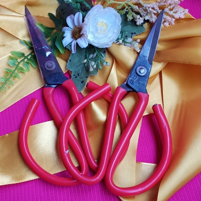 

%$%$%$%$] Gunting Serbaguna Gunting Kodok