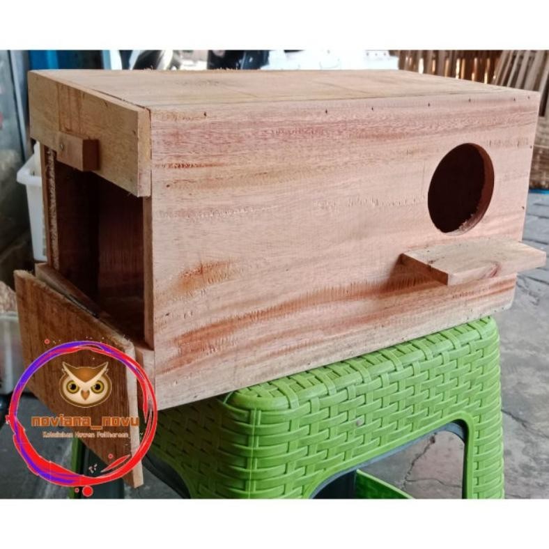 Glodok Kayu Panjang Burung Jalak Falk Parkit Australia Tempat Sarang Bertelur Ternak Koloni Rumah (M