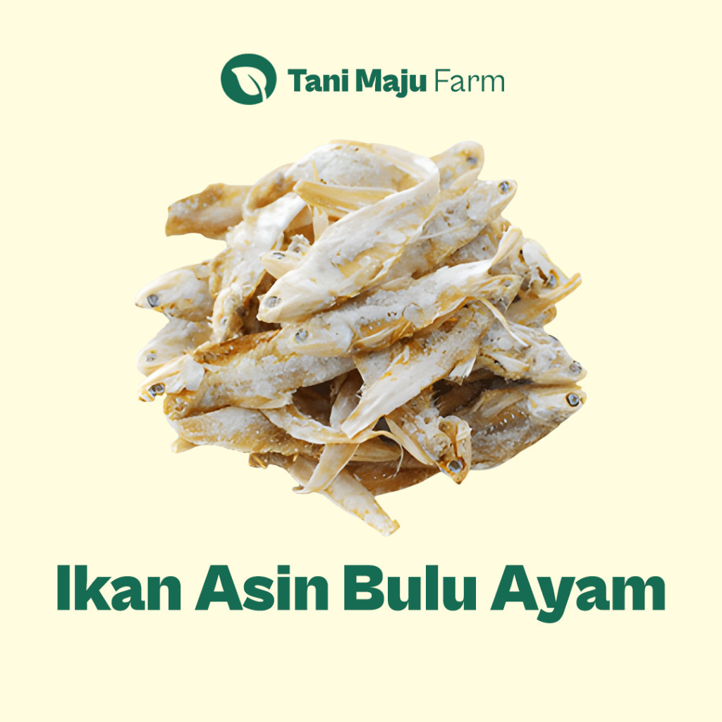 

Ikan Asin Bulu Ayam Jentir Fresh (100 gram) - Ikan Asin