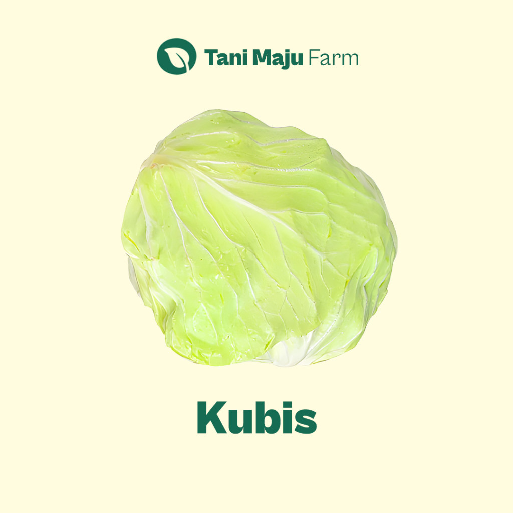 

Kubis Kol Gubis Gobes Fresh Organik (500 gram) - Sayuran