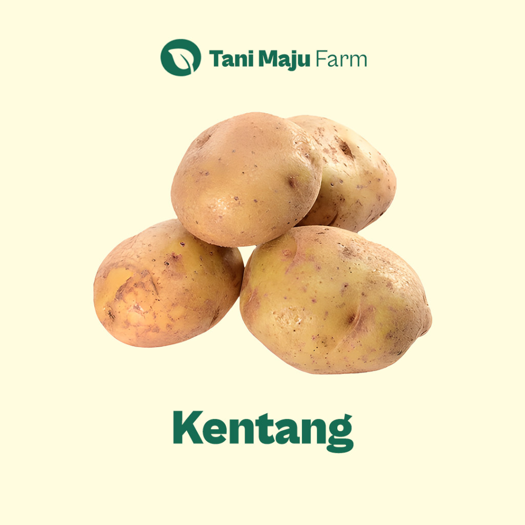 

Kentang Potato Fresh (500 gram) - INSTANT / SAMEDAY - Sayuran