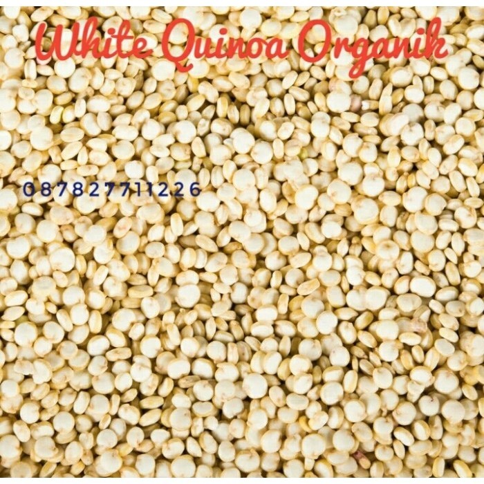 

Terlaris Organic White Quinoa/ Quinoa Organik/ Menu Diet Sehat 1 kg SALE