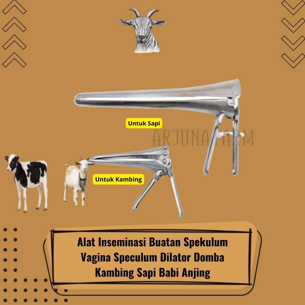 Spekulum Dilator Vagina Alat Inseminasi Buatan Sapi Domba Kambing Babi Hewan Ternak Farm