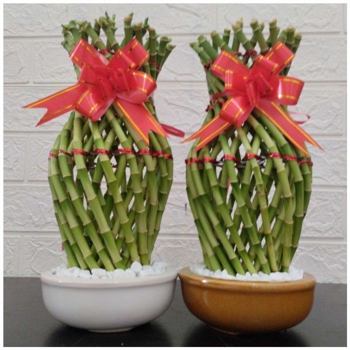 Gra Pajangan/Hiasan/Dekorasi Rumah/Kantor Bambu Hoki Guci Mini Varigata