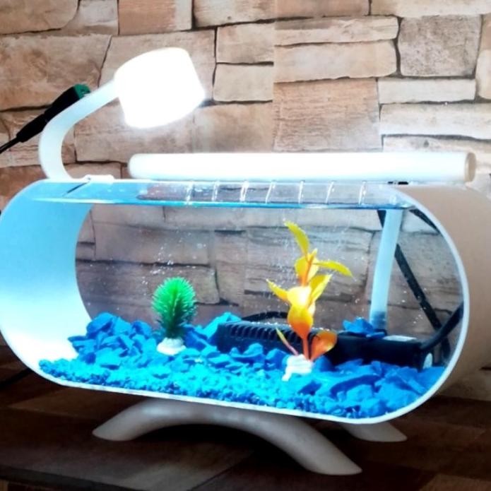 Aquarium Ni Akrilik Unik Ikan Hias Full Set