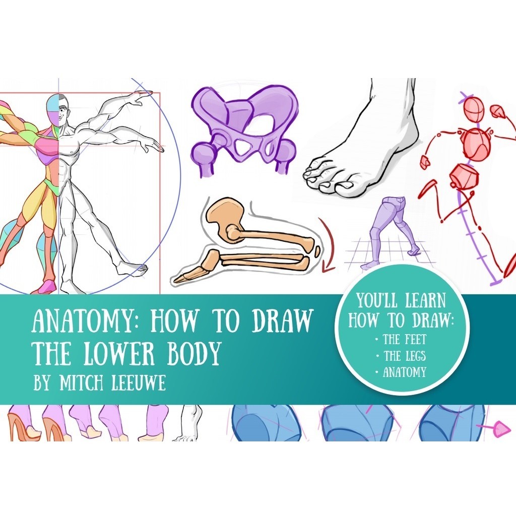 

Anatomy - How to Draw the Lower Body ( Cara Menggambar / D )