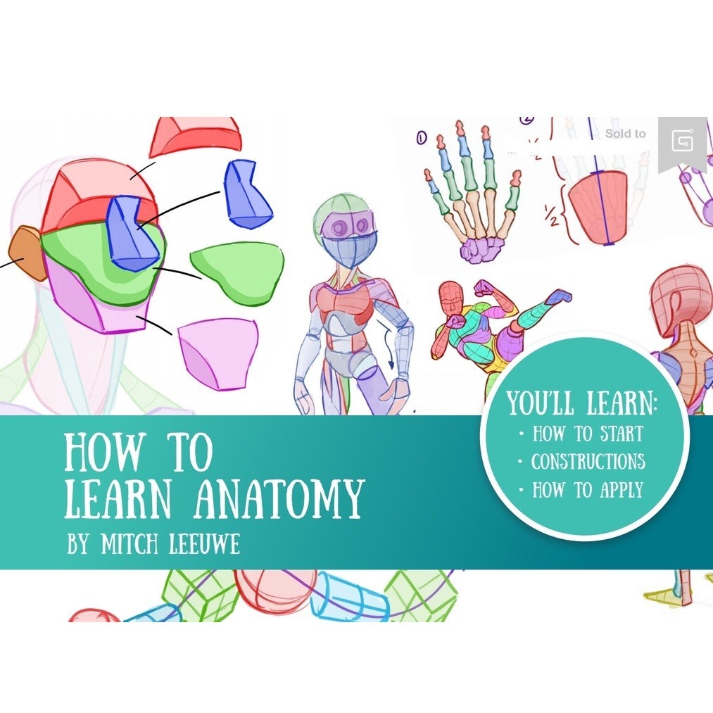 

How to Learn Anatomy ( D )
