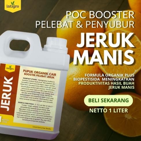 Flashsale Pupuk Jeruk Manis / Pupuk Pemanis Buah Jeruk / Pupuk Booster Jeruk Manis / Pupuk Organik B