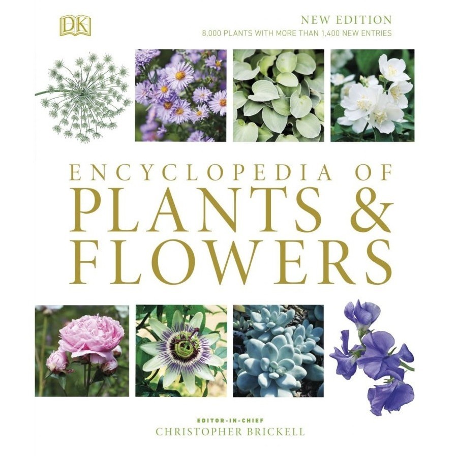 

Encyclopedia of Plants and Flowers ( D )