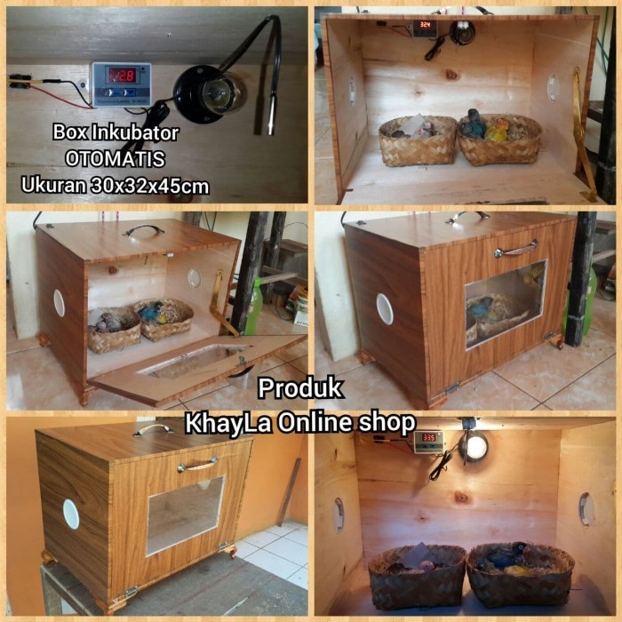 box inkubator full otomatis untuk anakan burung apa sajah