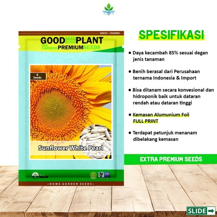 SALE EXTRA PREMIUM - 8 BIJI BENIH BIBIT SUNFLOWER WHITE PEARL KUACI PUTIH