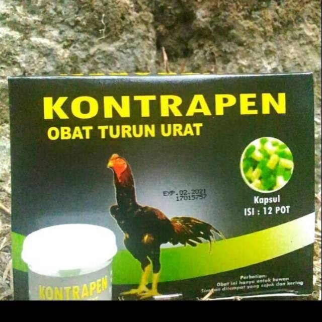 kontrapen kapsul obat turun urat ayam burung lumpuh pincang 10 capsul Lampam ID