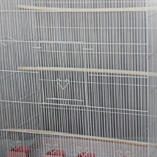 Kandang Burung Besar Lipat