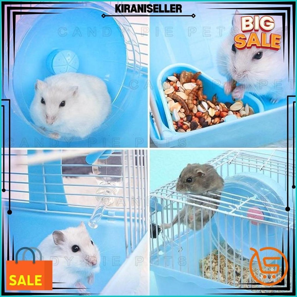 1 Set Rumah Hamster Kandang Hamster Akrilik Besar Kandang Sugar Glider Marmut Cod