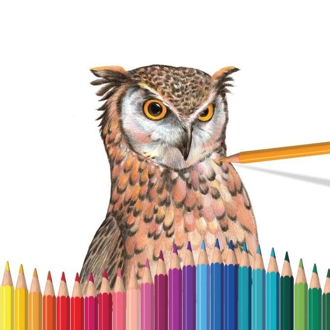 

Faber-Castell Classic Colour Pencils set 48