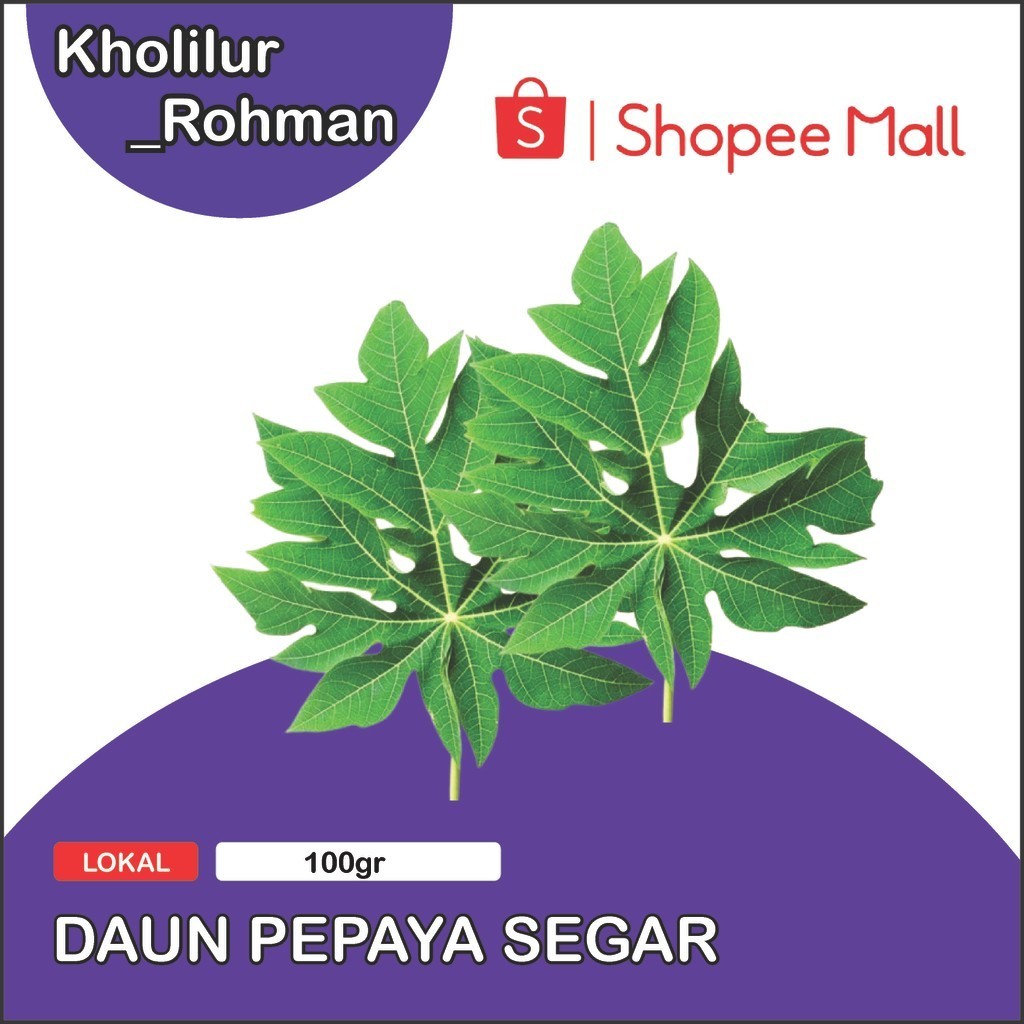

daun pepaya segar dipetik saat di pesan 100 gram