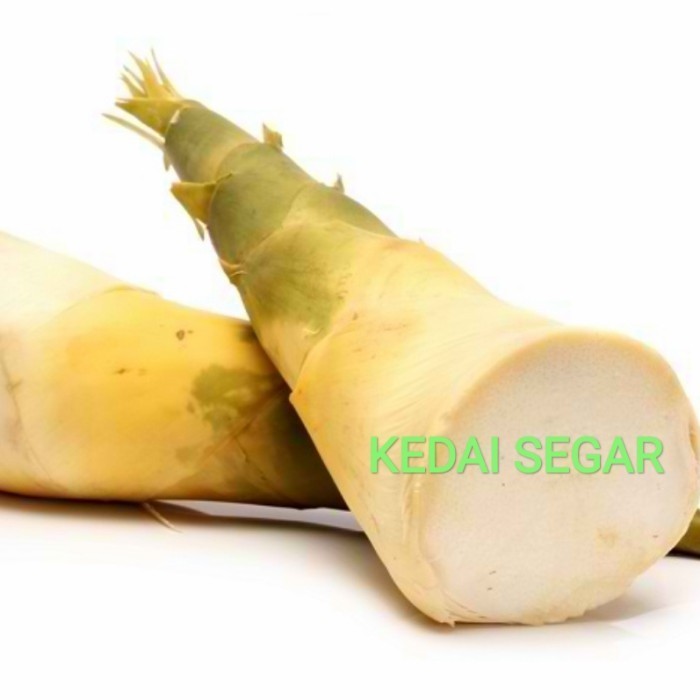 

REBUNG SAYUR 500GR / SAYURAN KEDAI SEGAR
