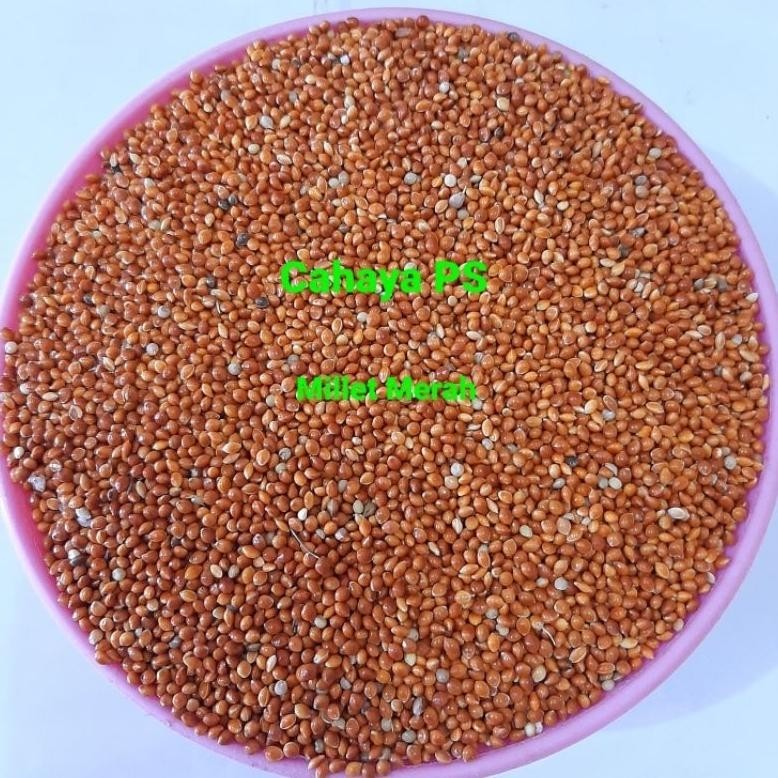 

Millet Merah/Red Millet (Repack 1 Kg) Terlaris