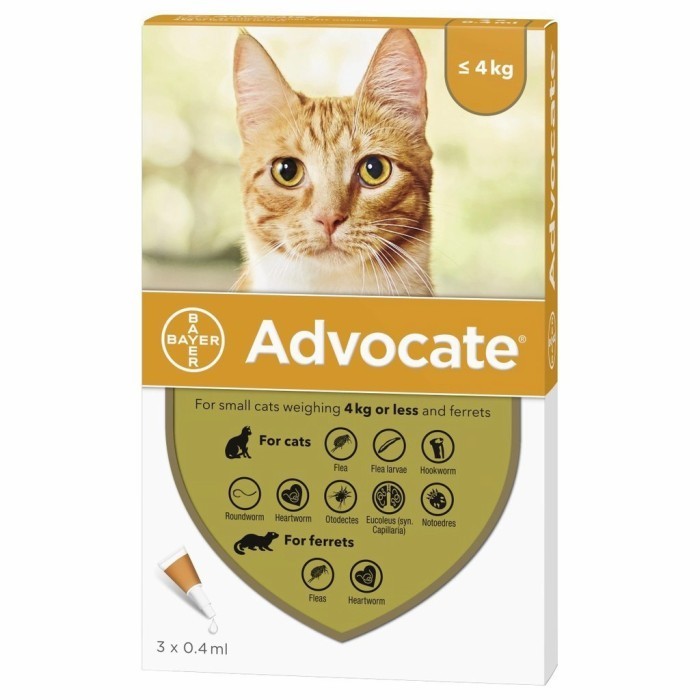 Ready advocade small cats 4 kg obat kutu kucing per piece