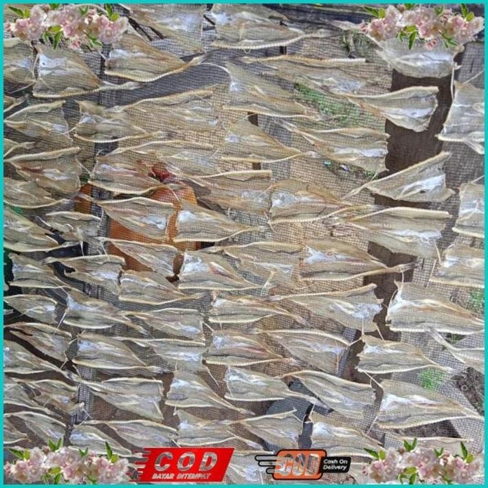 

BISMILLAH IKAN ASIN TIPIS TARAKAN 1KG TERMURAH ALISUP