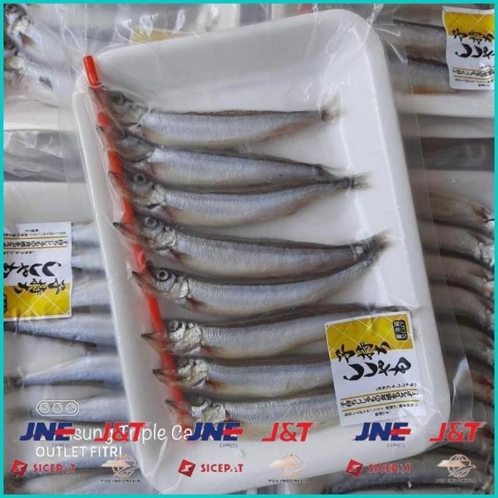 

BISMILLAH IKAN SHISAMO FULL TELUR (FEMALE) - IKAN CIPUNG - IKAN CAPELIN ALISUP