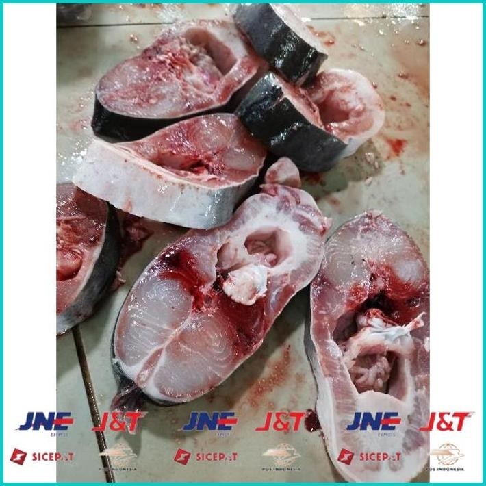 

BISMILLAH IKAN PATIN POTONGANG (READY HANYA PAGI) ALISUP