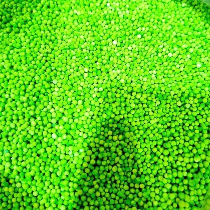 

Sagu Mutiara Hijau Thailand Sago Seeds pearl thai 1Kg AS85