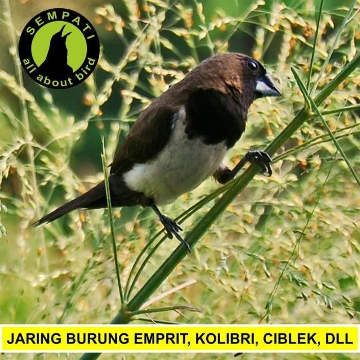 Jaring Burung Jaring Padi Jaring Emprit Jaring Sawah 7,5 X 90 Meter