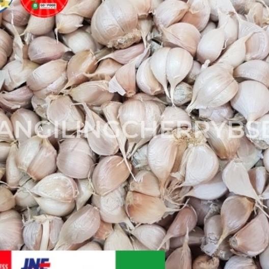 

Bawang Putih Kating