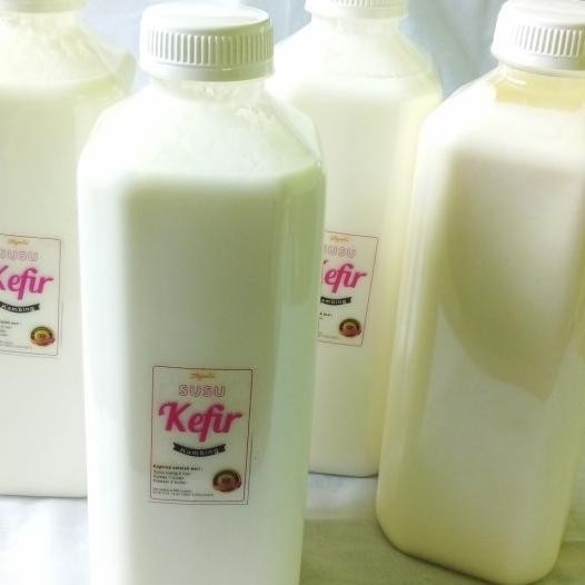 

Susu Kefir Kambing Etawa 1 Liter Prima F1 Ettawa Goat Hanya Gojek