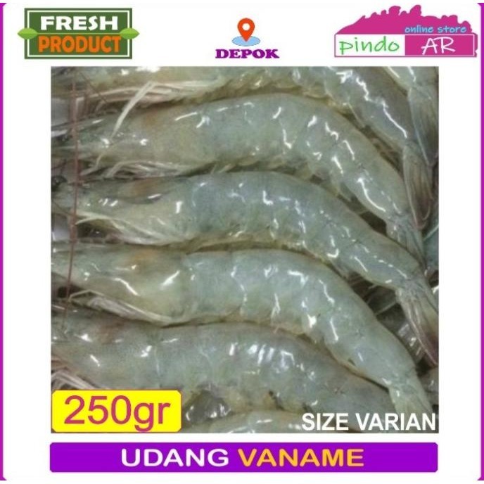 

UDANG VANAME SEGAR PAKET HEMAT 250 GRAM