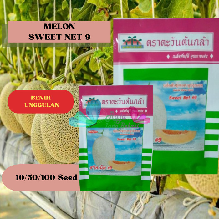 Ori Bijih Benih Melon Sweet Net 9 - Repack 100 Bibit Melon Premium