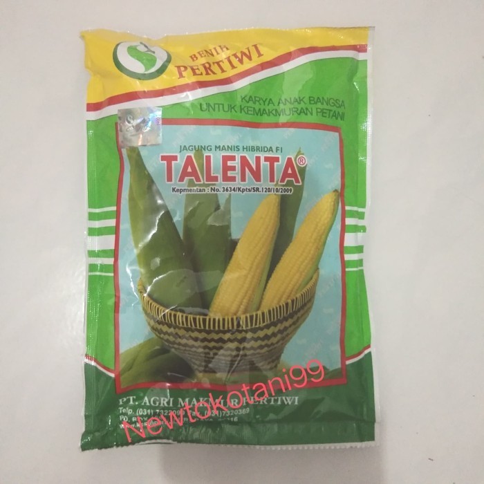 Benih Bibit Jagung Manis Talenta Dari Pertiwi