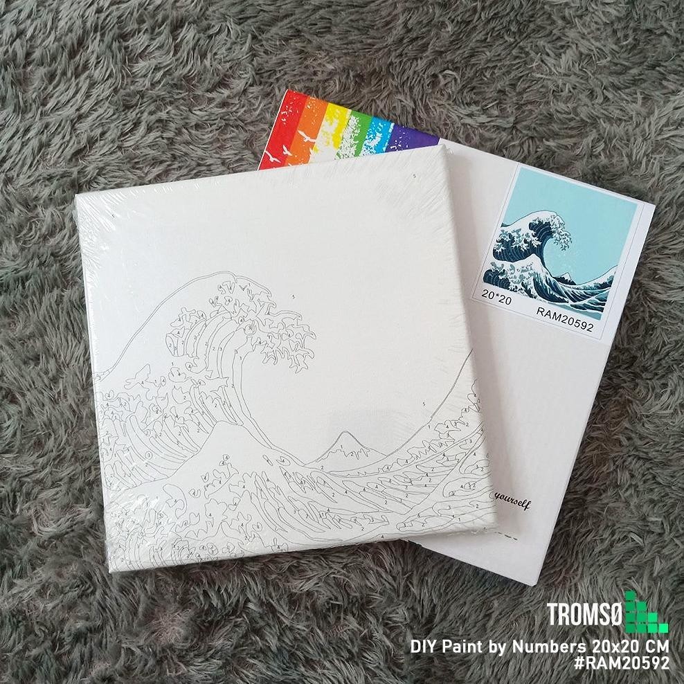 

tu-67 Tromso DIY Paint by Number KIT 20 X 20 (Painting by Number) varian 1 Terlaris