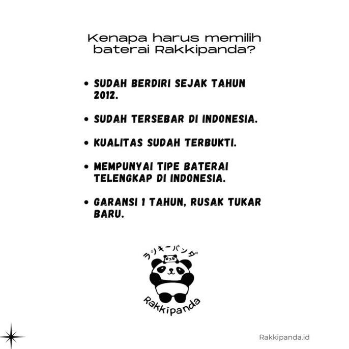 Rakkipanda Baterai Type-C Usb Rechargeable Ukuran Aaa