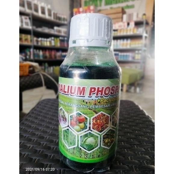 Super Seller Kalium Phospat + Paclobutrazol 500Ml Gd-8