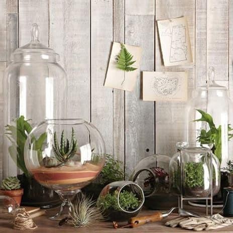 AQUARIUM KACA TIUP TERRARIUM 75 CM (TINGGI 75CM KACA 2)