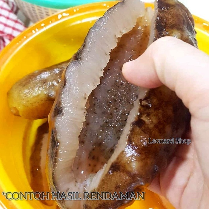 

Haisom Tubosom Hitam Kering 500G - 1KG Super Tebal Teripang Gajah Susu A9
